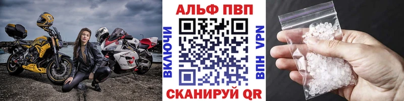 Альфа ПВП СК КРИС  Гусев 