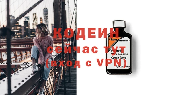мдпв Верхний Тагил