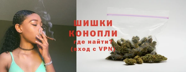 мдпв Верхний Тагил