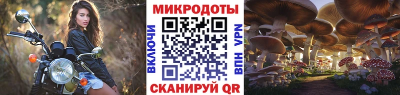 Псилоцибиновые грибы мицелий Гусев