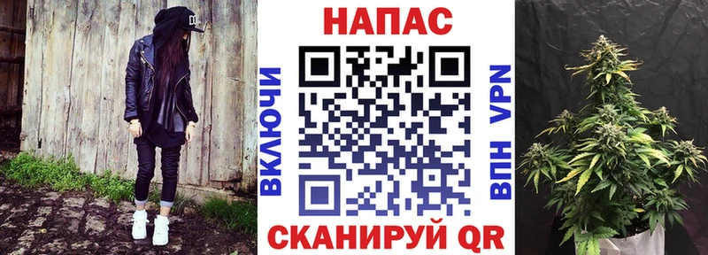 Конопля семена  Гусев 